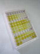 ELISA Kit for Granulin (GRN)