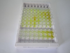 ELISA Kit for Histidine Rich Glycoprotein (HRG)