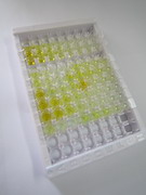 ELISA Kit for Kisspeptin 1 (KISS1)