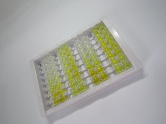 ELISA Kit for Valosin Containing Protein (VCP)