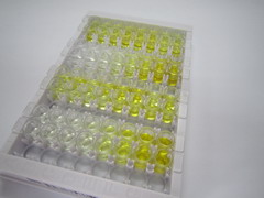 ELISA Kit for Xanthine Dehydrogenase (XDH)