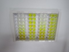 ELISA Kit for Norepinephrine Transporter (NET)