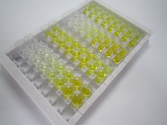 ELISA Kit for Osteoglycin (OGN)