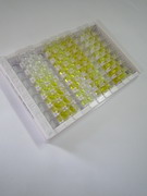 ELISA Kit for Rhodopsin (RHO)