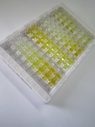 ELISA Kit for Renalase (RNLS)