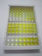 ELISA Kit for Serotonin Transporter (SERT)