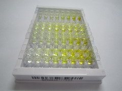 ELISA Kit for Sortilin 1 (SORT1)