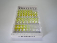 ELISA Kit for Adrenergic Receptor Beta 1 (ADRb1)