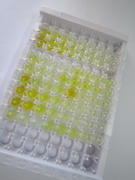 ELISA Kit for Fibrinogen Like Protein 1 (FGL1)