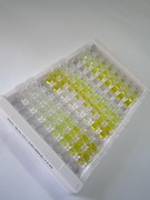 ELISA Kit for Carbonic Anhydrase IX (CA9)