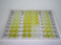 ELISA Kit for Ribonuclease A7 (RNASE7)