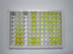 ELISA Kit for Complement Component 1, Q Subcomponent A (C1qA)