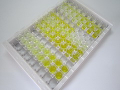 ELISA Kit for Troponin T Type 2, Cardiac (TNNT2)