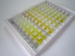 ELISA Kit for Troponin T Type 2, Cardiac (TNNT2)