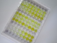 ELISA Kit for Troponin T Type 2, Cardiac (TNNT2)