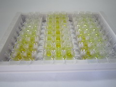 ELISA Kit for Cytochrome P450 1A1 (CYP1A1)