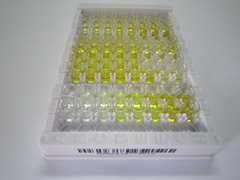 ELISA Kit for Aldolase B, Fructose Bisphosphate (ALDOB)