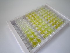 ELISA Kit for Kallikrein 13 (KLK13)