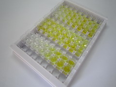 ELISA Kit for Leukocyte Elastase Inhibitor (LEI)