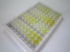 ELISA Kit for Myosin Heavy Chain 7, Cardiac Muscle, Beta (MYH7)