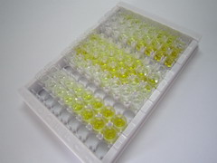 ELISA Kit for Myosin Light Chain 3, Alkali, Ventricular, Slow Skeletal (MYL3)