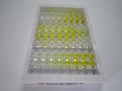 ELISA Kit for Hypoxia Inducible Factor 2 Alpha (HIF2a)