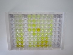 ELISA Kit for Aryl Hydrocarbon Receptor Nuclear Translocator Like Protein (ARNTL)