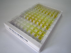 ELISA Kit for Pappalysin 2 (PAPPA2)