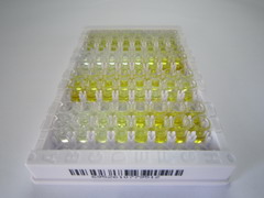 ELISA Kit for Glucagon Like Peptide 1 Receptor (GLP1R)