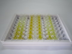 ELISA Kit for Mitogen Activated Protein Kinase Kinase 1 (MAP2K1)