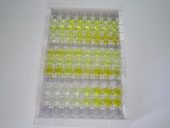 ELISA Kit for Acetyl Coenzyme A Acetyltransferase 2 (ACAT2)