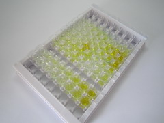 ELISA Kit for Diazepam Binding Inhibitor (DBI)