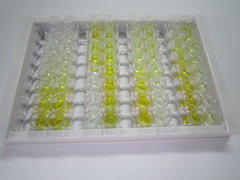 ELISA Kit for Arginase II (Arg2)