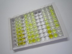 ELISA Kit for Thrombospondin 4 (THBS4)