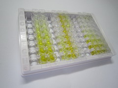 ELISA Kit for Adipogenin (ADIG)