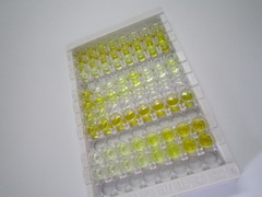 ELISA Kit for Ephrin A4 (EFNA4)