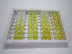 ELISA Kit for Phosphoglycerate Mutase 1, Brain (PGAM1)