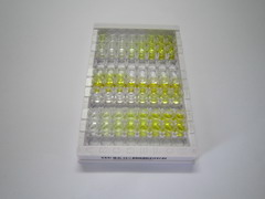 ELISA Kit for Receptor Interacting Serine Threonine Kinase 3 (RIPK3)