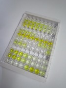 ELISA Kit for Regenerating Islet Derived Protein 3 Alpha (REG3a)