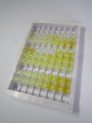 ELISA Kit for Interleukin 11 Receptor Alpha (IL11Ra)