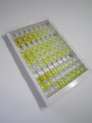 ELISA Kit for Aldehyde Dehydrogenase 1 Family, Member A1 (ALDH1A1)