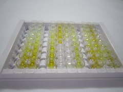 ELISA Kit for Complement Component 1, Q Subcomponent Like Protein 1 (C1qL1)