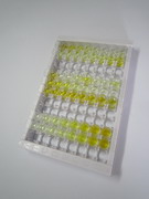 ELISA Kit for Complement Component 1, Q Subcomponent C (C1qC)