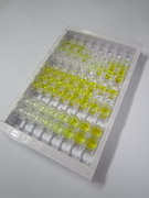 ELISA Kit for Fibulin 3 (FBLN3)