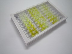 ELISA Kit for Uroplakin 3A (UPK3A)