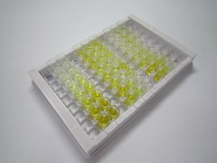 ELISA Kit for Uroplakin 2 (UPK2)