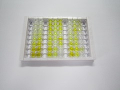 ELISA Kit for Phosphodiesterase 4D, cAMP Specific (PDE4D)