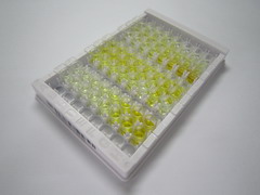 ELISA Kit for Transmembrane Protease, Serine 4 (TMPRSS4)