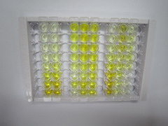 ELISA Kit for Phosphatase And Tensin Homolog (PTEN)