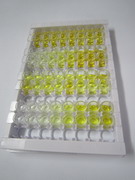 ELISA Kit for Sclerostin Domain Containing Protein 1 (SOSTDC1)